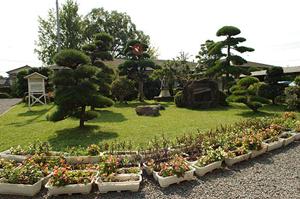 講師の質が良い横浜駅の英会話教室